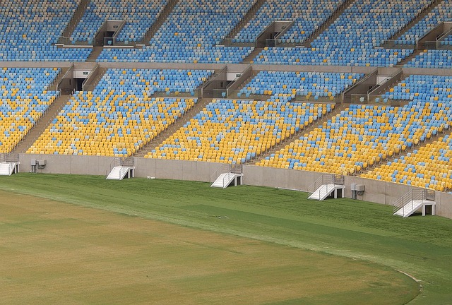 Leão