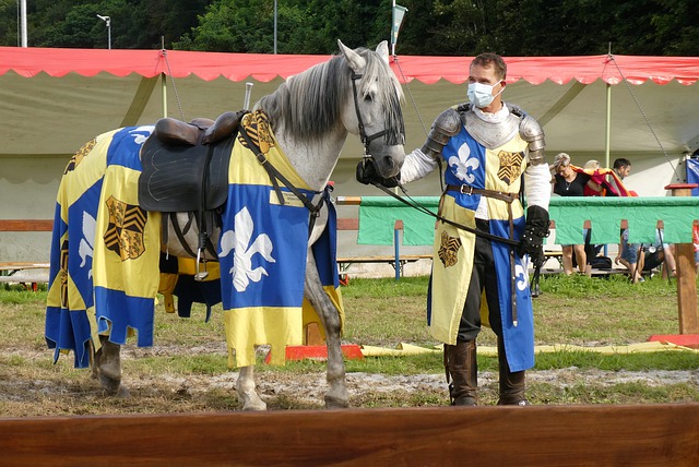 赛的败北 赛的败北